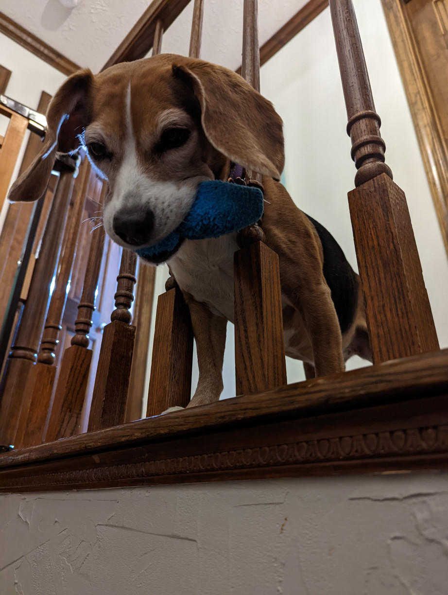 Addie